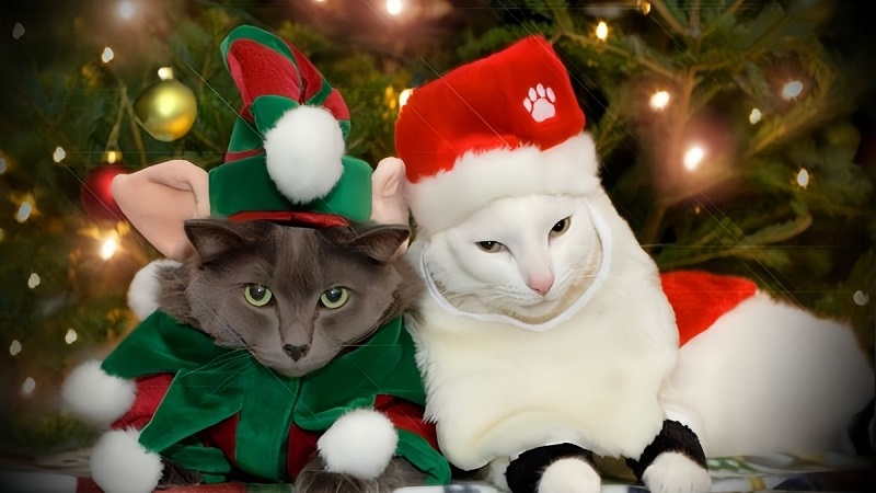 hình nền Giáng Sinh cute