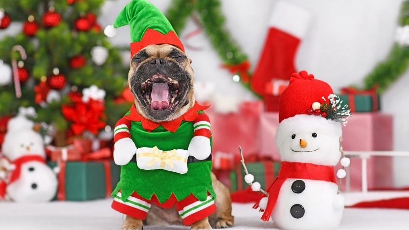 hình nền Giáng Sinh cute