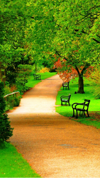 Hình nền phong cảnh thiên nhiên trên iPhone mang đến sự yên bình, thoải mái