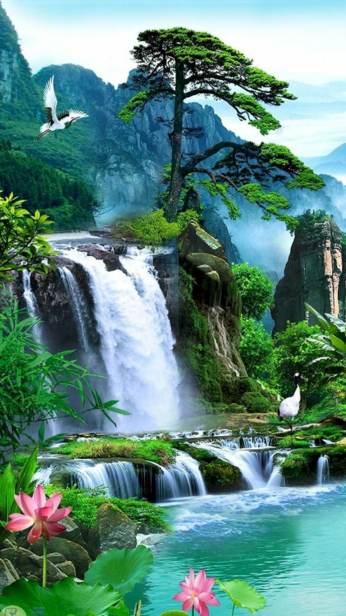 Hình nền phong cảnh thiên nhiên trên iPhone mang đến sự yên bình, thoải mái