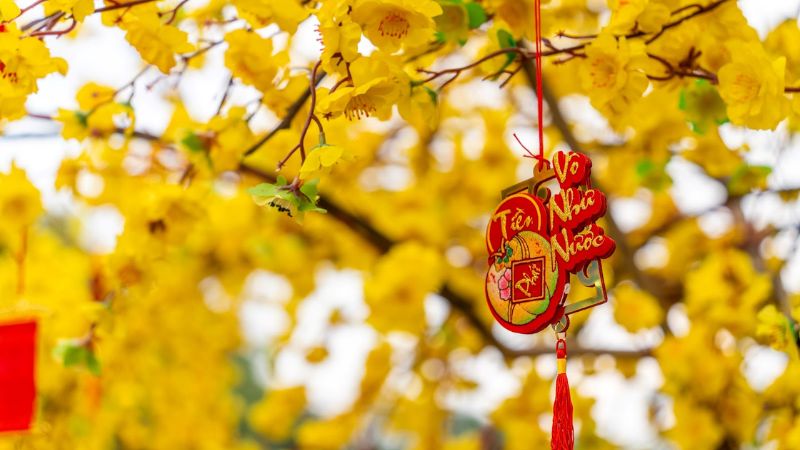 hình nền Tết 2026