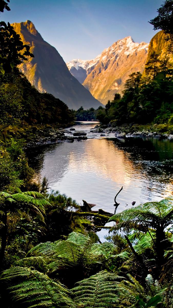 hình nền núi đồi