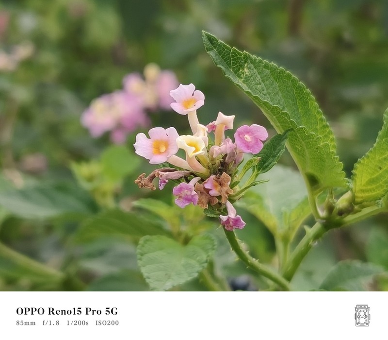 Camera: dùng thực tế mới thấy 200MP có ý nghĩa