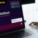 Moltbot là gì? Cách sử dụng Moltbot trên máy Mac chi tiết