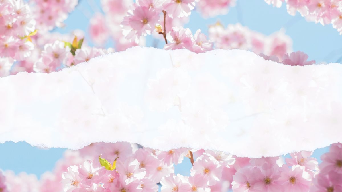 hinh-nen-powerpoint-8-3