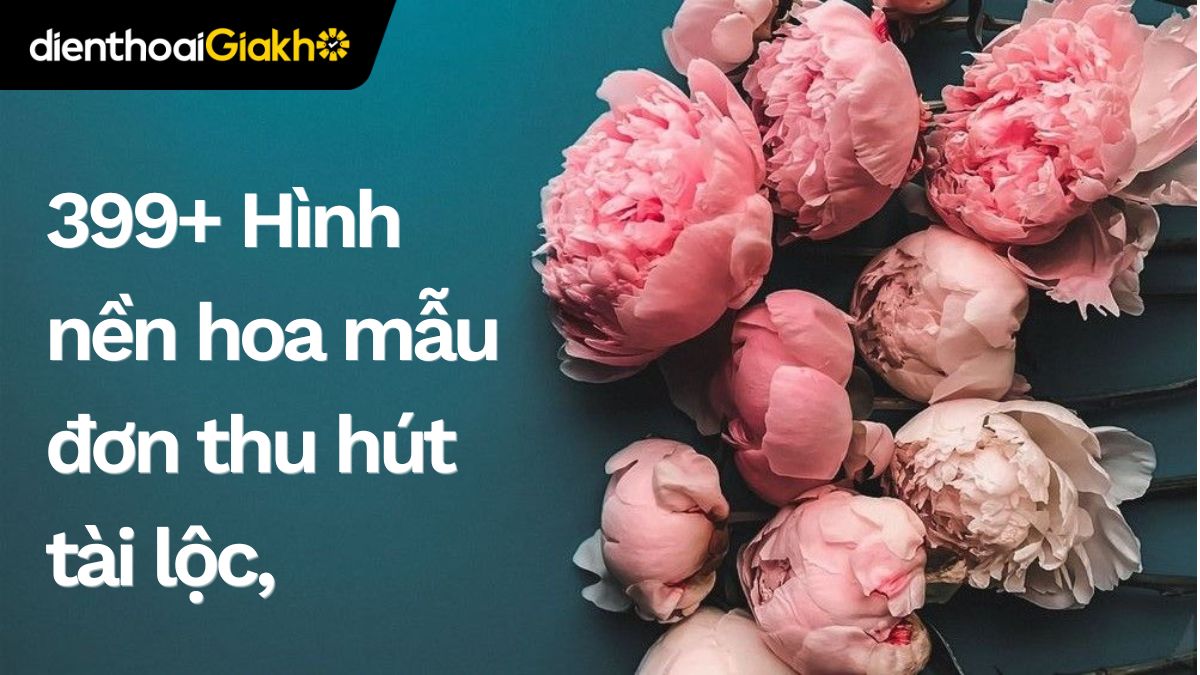 399+ Hình nền hoa mẫu đơn thu hút tài lộc,