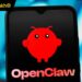 Người dùng Trung Quốc đổ xô trải nghiệm OpenClaw