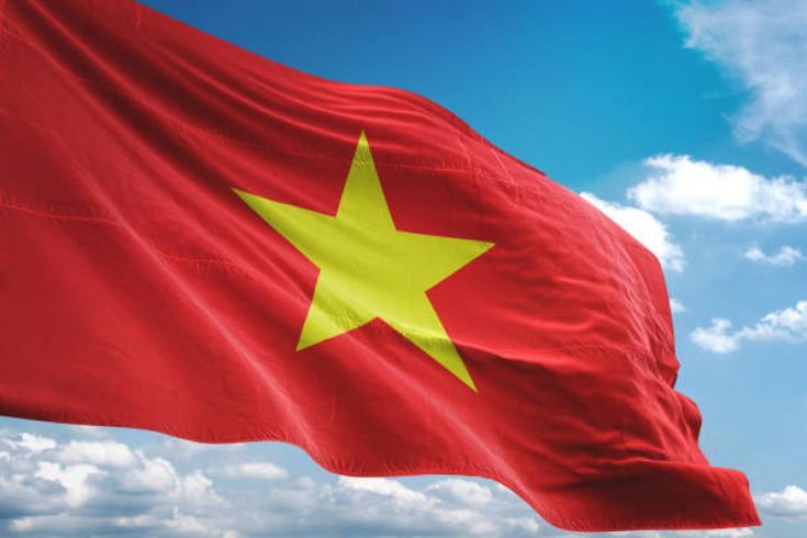 hinh-nen-la-co-viet-nam