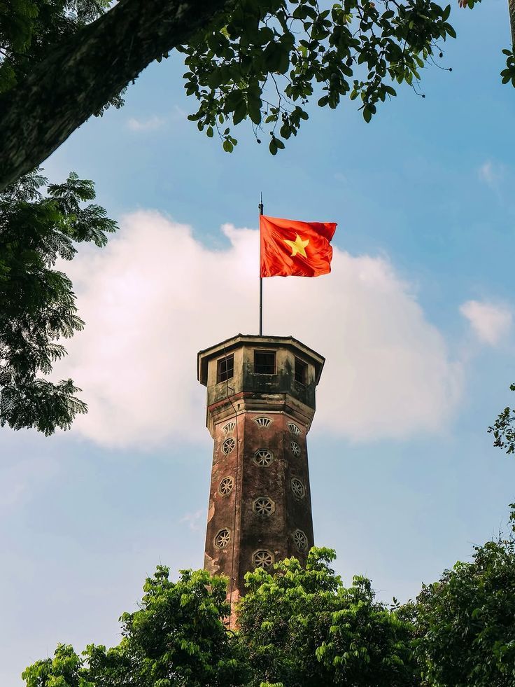 hinh-nen-la-co-viet-nam