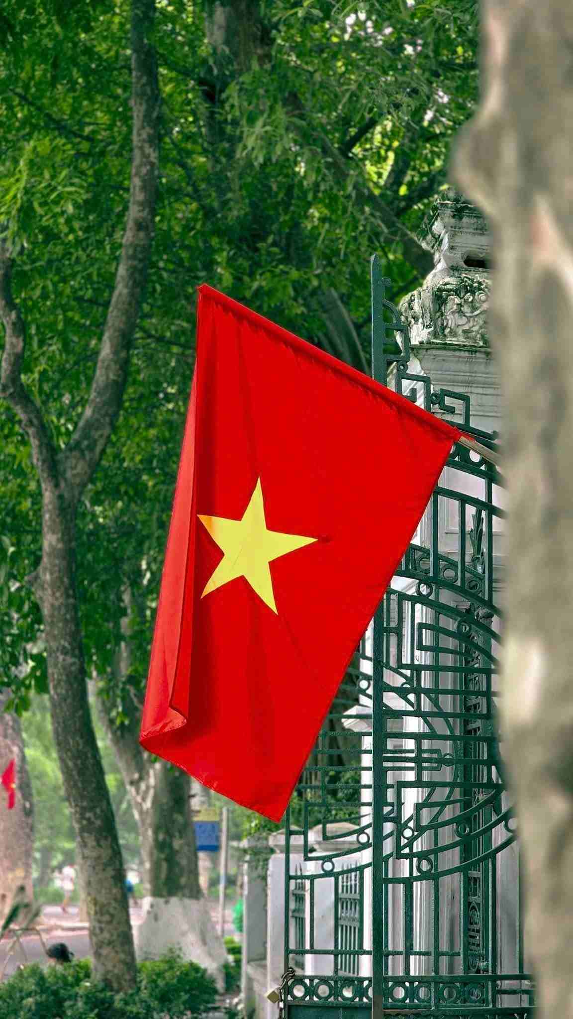 hinh-nen-la-co-viet-nam