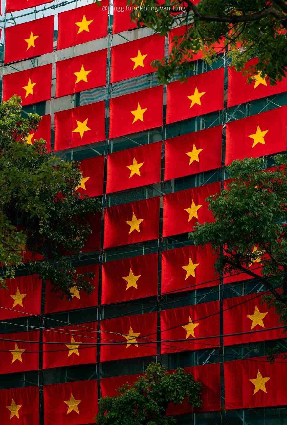 hinh-nen-la-co-viet-nam