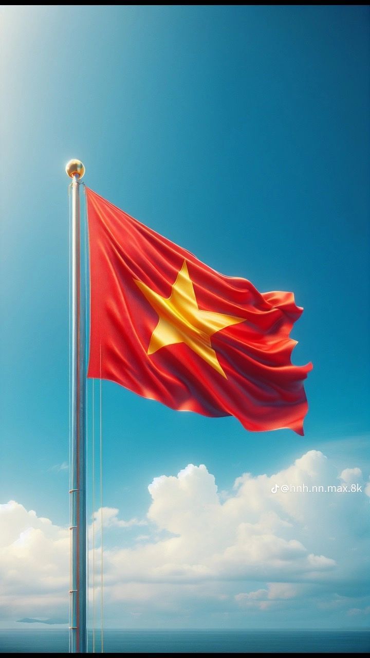 hinh-nen-la-co-viet-nam