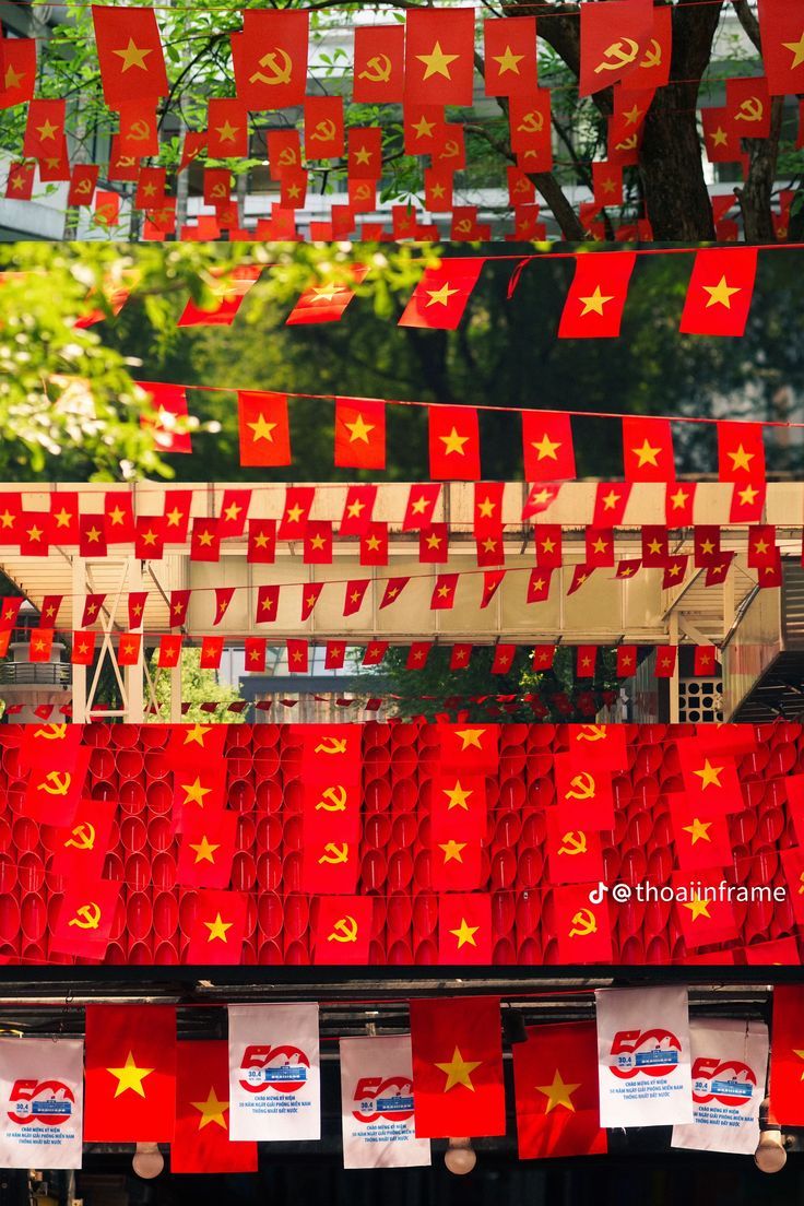 hinh-nen-la-co-viet-nam