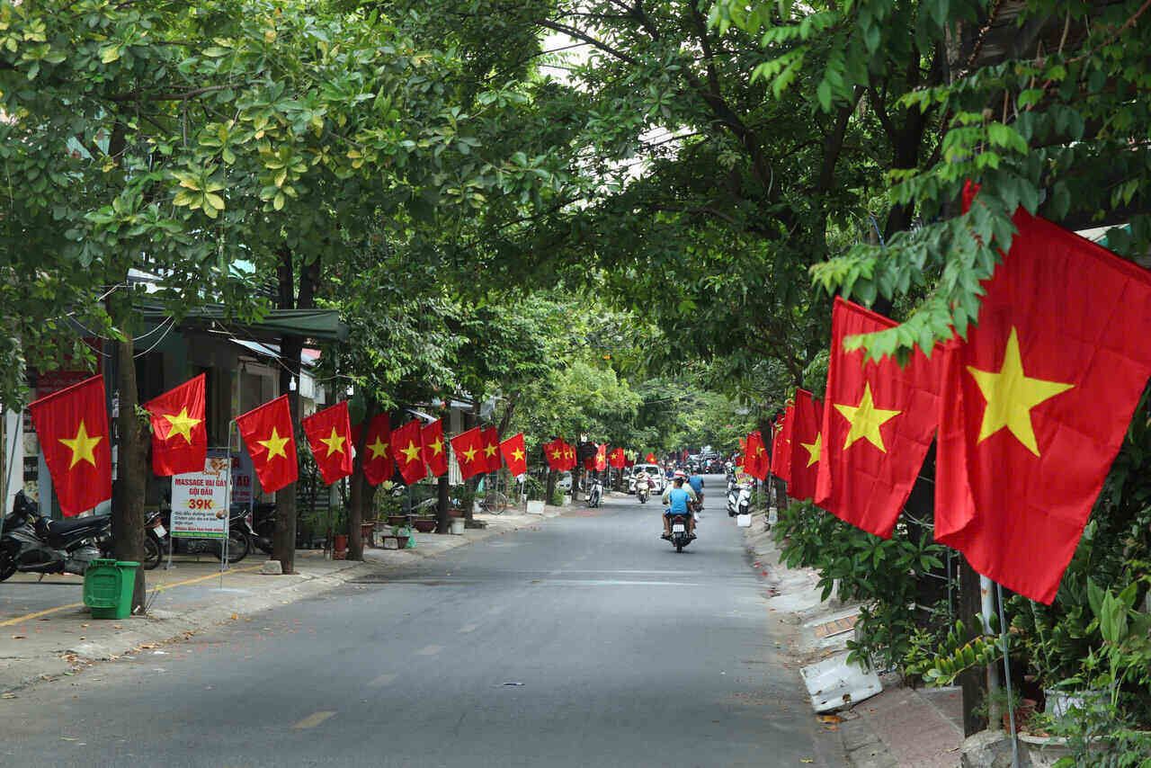 hinh-nen-la-co-viet-nam