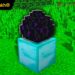 Cách ấp trứng rồng trong Minecraft