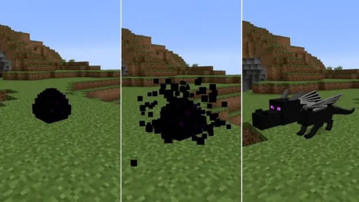 cach-ap-trung-rong-trong-minecraft