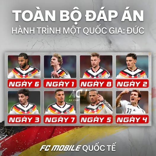 ngày 7
